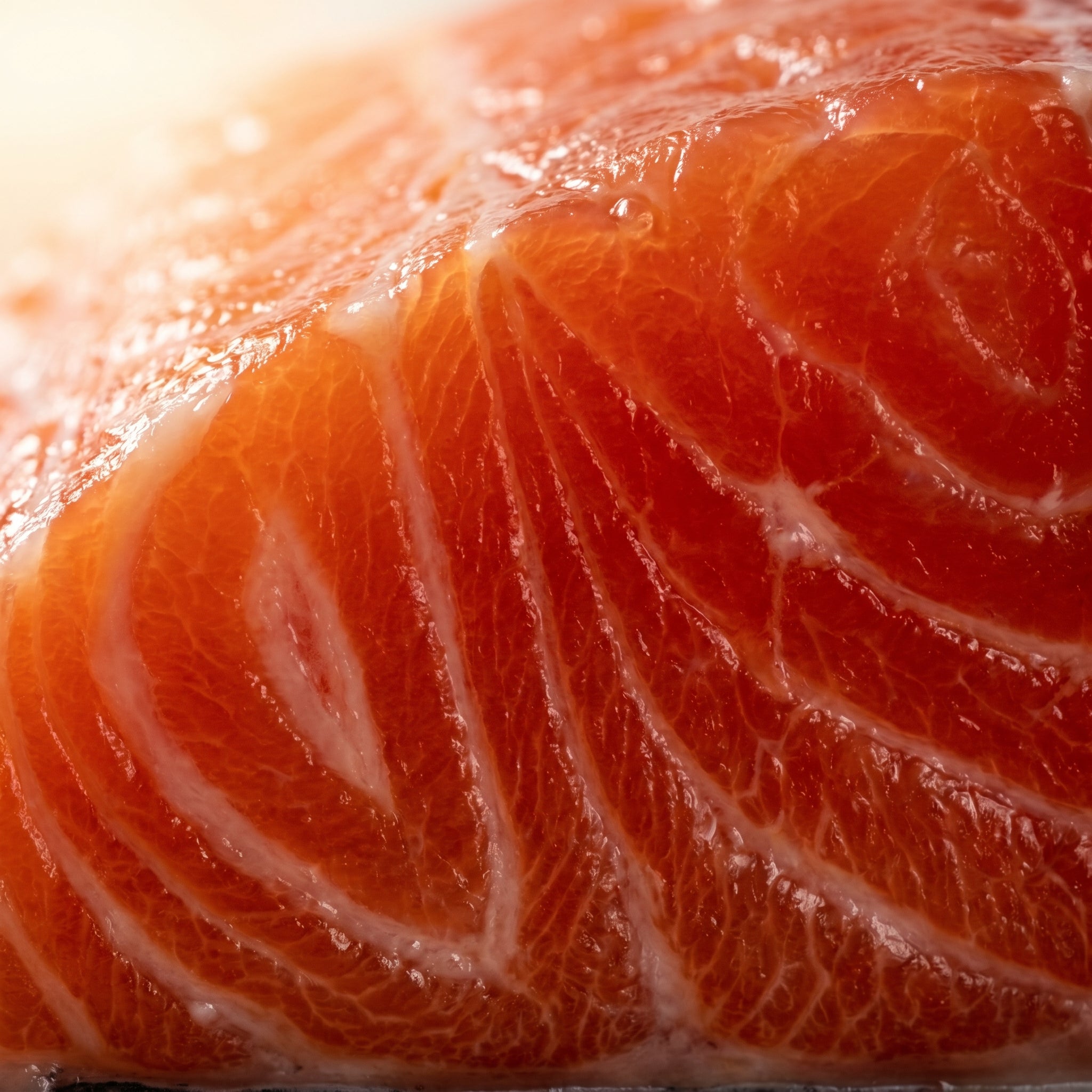 Sashimi Grade】Wild Alaskan King Salmon Fillets - Rich in Omega-3